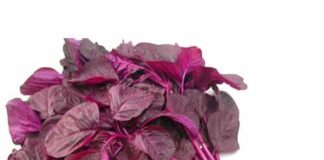 16 Manfaat Mengonsumsi Bayam Manfaat bayam