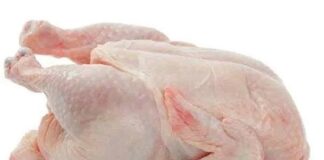 Karkas Ayam Broiler Ayam broiler