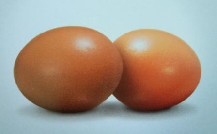 Telur ayam ras