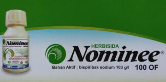 Herbisida Nominee 100 OF, Pemberantas Gulma Padi Pemberantas gulma.