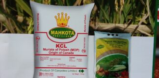 Multiguna Pupuk KCl Mahkota Asal Kanada Pupuk KCl