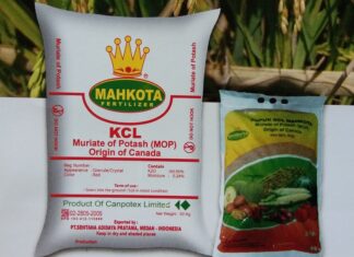 Multiguna Pupuk KCl Mahkota Asal Kanada Pupuk KCl