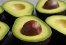 Kenali Beragam Spesies Alpukat yang Anda Sukai Buah alpukat Hass