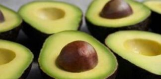 Kenali Beragam Spesies Alpukat yang Anda Sukai Buah alpukat Hass