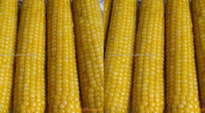 Struktur dan Komposisi Kimia Biji Jagung Jagung dengan amilopektin tinggi.