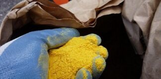 Produk Samping Pengolahan Biji Jagung untuk Pakan Ternak corn gluten meal