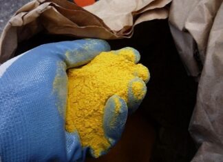 Produk Samping Pengolahan Biji Jagung untuk Pakan Ternak corn gluten meal