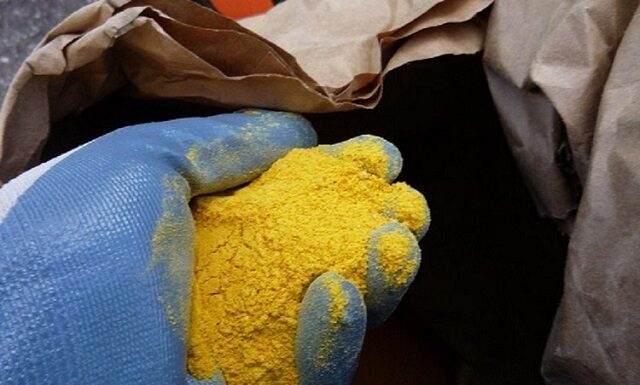 Produk Samping Pengolahan Biji Jagung untuk Pakan Ternak corn gluten meal