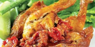 Daging Ayam Broiler dan Ayam Kampung Sumber Protein yang Bagus masakan ayam broiler.