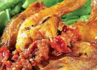 Daging Ayam Broiler dan Ayam Kampung Sumber Protein yang Bagus masakan ayam broiler.