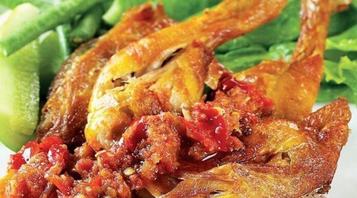 Daging Ayam Broiler dan Ayam Kampung Sumber Protein yang Bagus masakan ayam broiler.