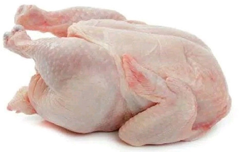 Ayam broiler dipelihara untuk dimanfaatkan dagingnya.