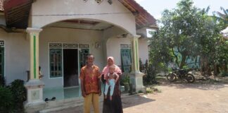 Teknologi Budidaya Padi di Lahan Berpirit Budidaya padi di lahan berpirit.