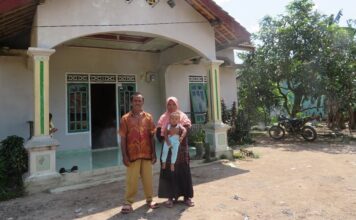 Teknologi Budidaya Padi di Lahan Berpirit Budidaya padi di lahan berpirit.
