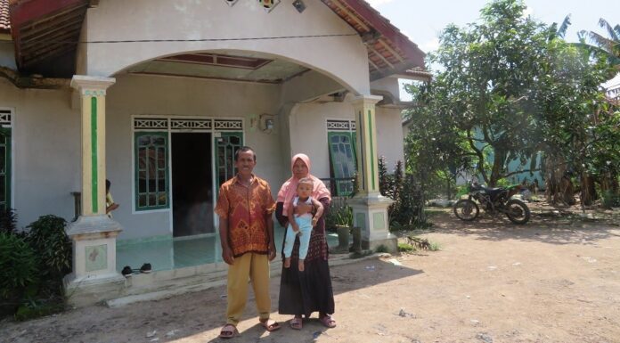 Teknologi Budidaya Padi di Lahan Berpirit Budidaya padi di lahan berpirit.