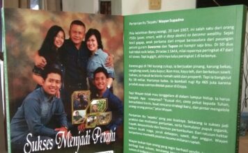 Berkat Pertanian, Wayan Supadno Sukses Bangkit dari Kebangkrutan Sukses Menjadi Petani