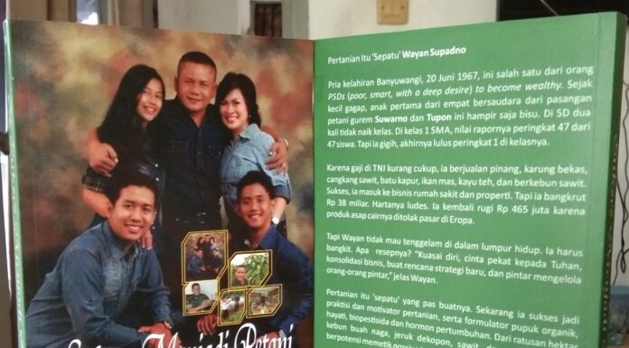 Berkat Pertanian, Wayan Supadno Sukses Bangkit dari Kebangkrutan Sukses Menjadi Petani