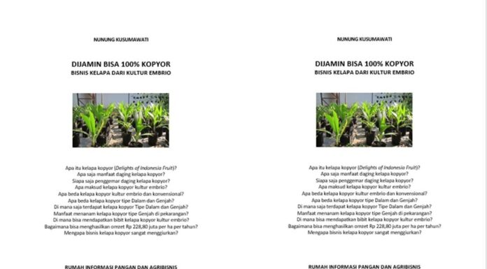 Info Praktis Kelapa Kopyor Kultur Embrio Kelapa kopyor.