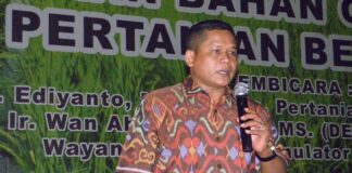 Membantah Mitos dengan Empiris Bisnis Wayan Supadno petani sukses.