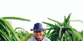 Menekuni Pertanian dengan The Power of Love Menekuni bidang pertanian dengan kekuatan cinta.