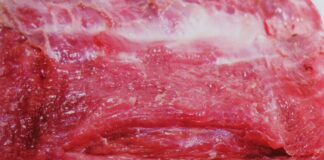 10 Tip agar Terhindar Membeli Daging Sapi tapi Membawa Pulang Daging Babi Membedakan daging sapi dan daging babi.