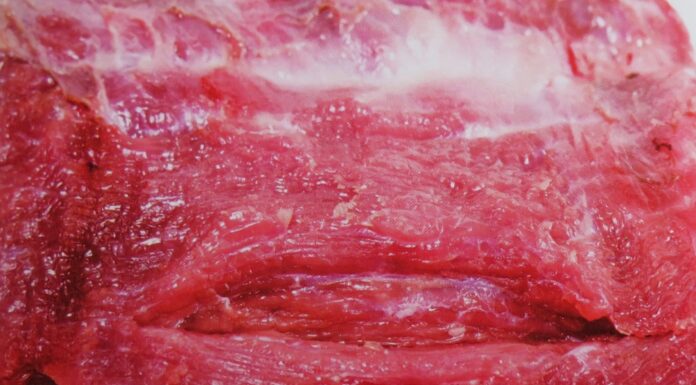 10 Tip agar Terhindar Membeli Daging Sapi tapi Membawa Pulang Daging Babi Membedakan daging sapi dan daging babi.