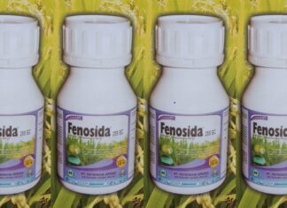 Fenosida Boster Padi Meningkatkan Hasil Panen Fungisida dan zat pengatur tumbuh.