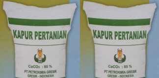 Kapur Pertanian, Pembenah Tanah Unggul Menyediakan unsur Ca (kalsium) yang dibutuhkan untuk ganti kulit udang.