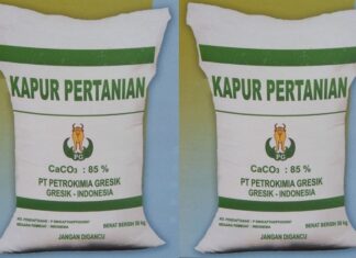 Kapur Pertanian, Pembenah Tanah Unggul Menyediakan unsur Ca (kalsium) yang dibutuhkan untuk ganti kulit udang.