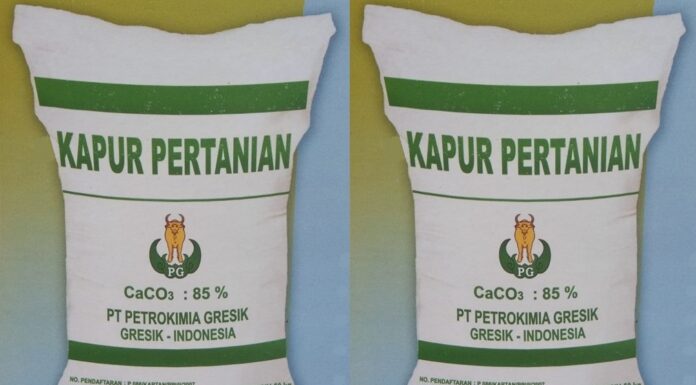 Kapur Pertanian, Pembenah Tanah Unggul Menyediakan unsur Ca (kalsium) yang dibutuhkan untuk ganti kulit udang.