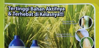Marathon Dapat Mengendalikan Wereng Cokelat, Penggerek Batang, dan Ulat Kantong Mengendalikan wereng cokelat, penggerek batang, dan ulat kantong.