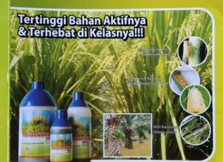 Marathon Dapat Mengendalikan Wereng Cokelat, Penggerek Batang, dan Ulat Kantong Mengendalikan wereng cokelat, penggerek batang, dan ulat kantong.