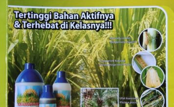 Marathon Dapat Mengendalikan Wereng Cokelat, Penggerek Batang, dan Ulat Kantong Mengendalikan wereng cokelat, penggerek batang, dan ulat kantong.