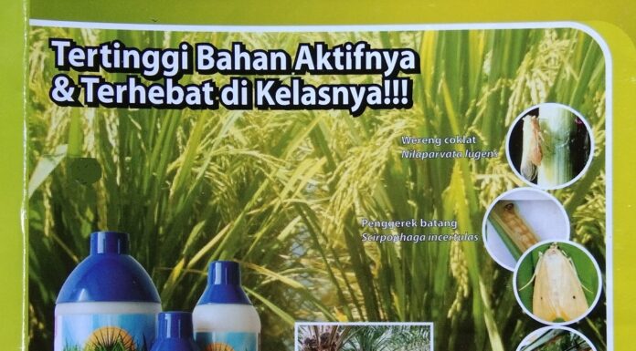Marathon Dapat Mengendalikan Wereng Cokelat, Penggerek Batang, dan Ulat Kantong Mengendalikan wereng cokelat, penggerek batang, dan ulat kantong.