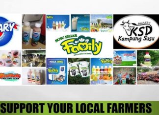 Kampanyekan Produk Susu Bermerek Berbasis Potensi Lokal Menampilkan wajah persapiperahan dan persusuan yang optimistis.