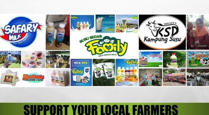 Kampanyekan Produk Susu Bermerek Berbasis Potensi Lokal Menampilkan wajah persapiperahan dan persusuan yang optimistis.