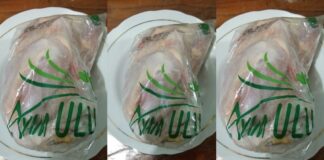 Mengenal Sumber Daging Ayam Tekstur ayam ULU ini selembut ayam ras, tapi rasanya segurih ayam kampung.