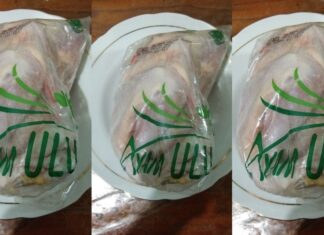 Mengenal Sumber Daging Ayam Tekstur ayam ULU ini selembut ayam ras, tapi rasanya segurih ayam kampung.