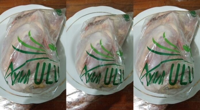 Mengenal Sumber Daging Ayam Tekstur ayam ULU ini selembut ayam ras, tapi rasanya segurih ayam kampung.