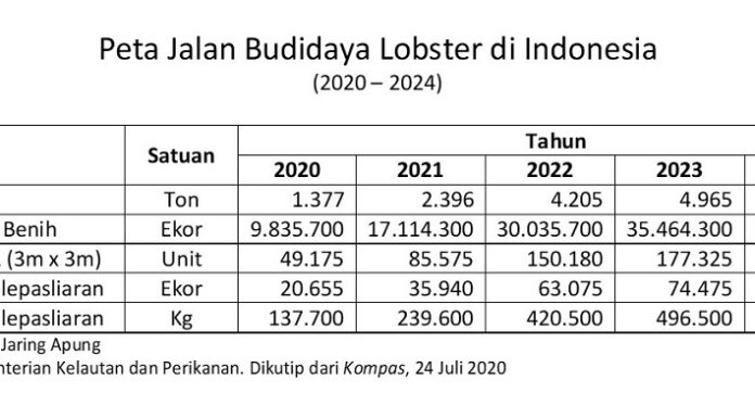 Prediksi Produksi Budidaya Lobster di Indonesia Pelepasliaran ini dimaksudkan untuk menjaga kelestarian atau keberlanjutan populasi lobster di Indonesia.