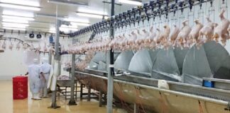 Penerapan Cara yang Baik di Rumah Potong Hewan Unggas Rumah potong hewan unggas merupakan salah satu rantai produksi produk hewan yang wajib menerapkan cara yang baik.