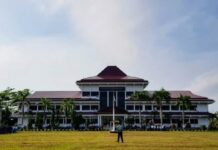 Mewujudkan Pembangunan Agropolitan di Bengkulu Selatan Kontribusi pertanian, kehutanan, dan perikanan terhadap PDRB Kabupaten Bengkulu Selatan tahun 2019 sekitar 32,60%.