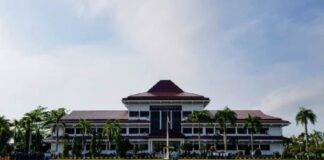 Mewujudkan Pembangunan Agropolitan di Bengkulu Selatan Kontribusi pertanian, kehutanan, dan perikanan terhadap PDRB Kabupaten Bengkulu Selatan tahun 2019 sekitar 32,60%.