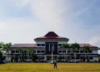 Mewujudkan Pembangunan Agropolitan di Bengkulu Selatan Kontribusi pertanian, kehutanan, dan perikanan terhadap PDRB Kabupaten Bengkulu Selatan tahun 2019 sekitar 32,60%.