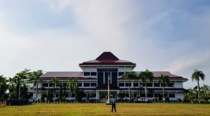 Mewujudkan Pembangunan Agropolitan di Bengkulu Selatan Kontribusi pertanian, kehutanan, dan perikanan terhadap PDRB Kabupaten Bengkulu Selatan tahun 2019 sekitar 32,60%.