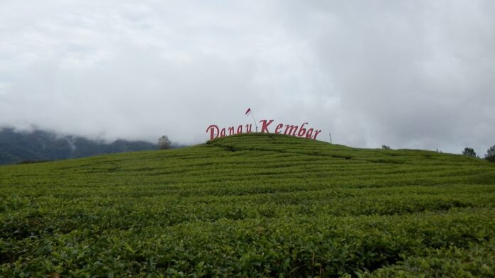 Dari pemetikan produksi teh, dapat diolah menjadi teh putih, teh hijau, teh oolong, dan teh hitam.