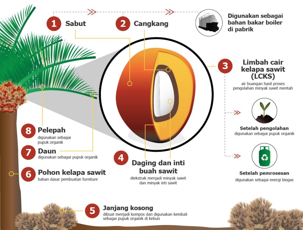 Buah kelapa sawit nihil limbah. Setiap bagian tanaman kelapa sawit ada manfaatnya.