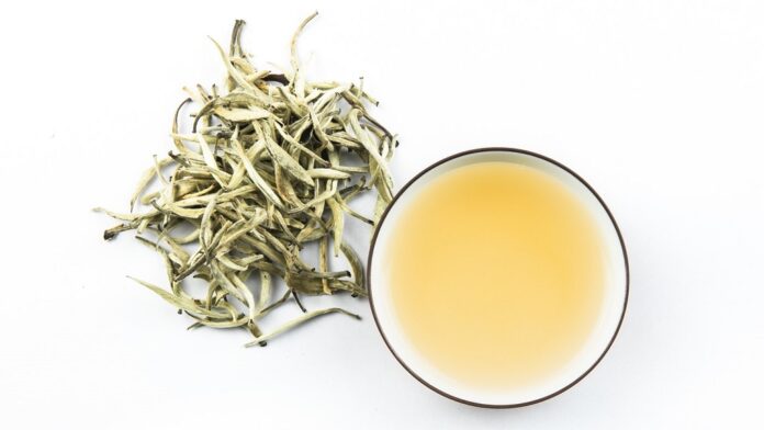 Teh putih terbuat dari peko dan daun muda tanaman teh.