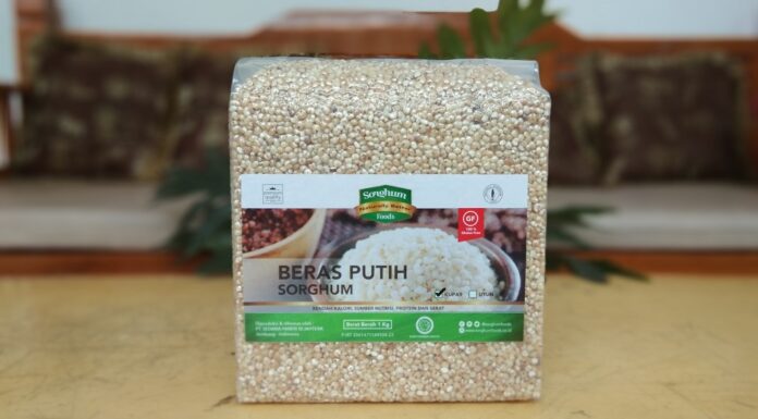 Jangan Salah Tanam Varietas Sorgum Beras sorgum dari varietas Pahat relatif lebih enak.