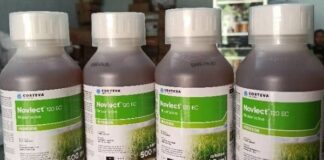 Cara Penggunaan Herbisida Novlect™ 120 EC agar Gulma Padi Tabela Cepat Mati Herbisida Novlect™ 120 EC merupakan racun yang ampuh mematikan gulma padi tabela (tabur benih langsung).